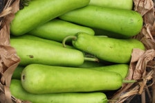 5,455 Bottle Gourd Stock Photos - Free & Royalty-Free Stock Photos from Dreamstime