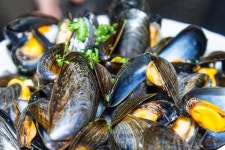 11,430 Bowl Mussels Stock Photos - Free & Royalty-Free Stock Photos from Dreamstime