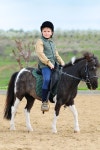 Cowboy stock image. Image of brush, male, child, reigns - 22106323