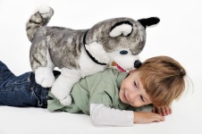 Boy With A Teddy Dog Royalty Free Stock Images - Image: 29483079 Boy with a teddy dog