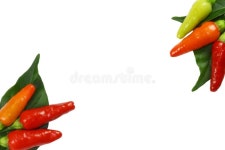 The Number One of Apple Cores Stock Image - Image of dietetically, waste: 155901297