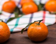 Brunch of tangerines stock image. Image of healthy, leaf - 52849649
