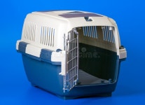 703,587 Pets Stock Photos - Free & Royalty-Free Stock Photos from Dreamstime - Page 5