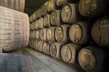 Cask stock photo. Image of vertical, barrel, winery, cask - 6676560