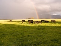 Brandon Baker (Bakers1029) - Photographer profile