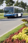 194,298 City Bus Stock Photos - Free & Royalty-Free Stock Photos from Dreamstime