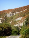 381,593 Mountain Forest Road Stock Photos - Free & Royalty-Free Stock Photos from Dreamstime - Page 3