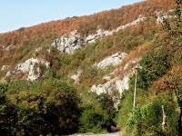 381,593 Mountain Forest Road Stock Photos - Free & Royalty-Free Stock Photos from Dreamstime - Page 3