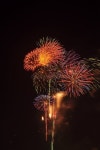 Colorful firework stock photo. Image of anniversary, fourth - 42616036