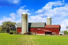 176,559 Milk Farm Stock Photos - Free & Royalty-Free Stock Photos from Dreamstime