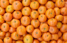 Ripe tangerines. stock image. Image of fresh, mandarin - 86435747