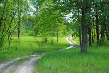 27,436 Curved Road Stock Photos - Free & Royalty-Free Stock Photos from Dreamstime