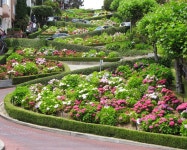Japanese Tea Garden stock image. Image of america, color - 37275449
