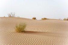 Volodymyr Kaushan (Kampot) - Photos