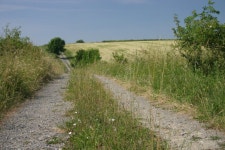 Dirt road stock photo. Image of pasture, summer, meadows - 569466