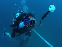25,205 Red Diver Stock Photos - Free & Royalty-Free Stock Photos from Dreamstime - Page 20