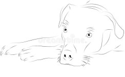 Dog School Stock Illustrations – 14,355 Dog School Stock Illustrations, Vectors & Clipart - Dreamstime