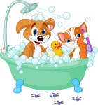 Dog Cat Stock Illustrations – 306,775 Dog Cat Stock Illustrations, Vectors & Clipart - Dreamstime