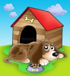 Kennel Stock Illustrations – 19,502 Kennel Stock Illustrations, Vectors & Clipart - Dreamstime