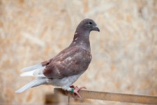 4,279 Contests Stock Photos - Free & Royalty-Free Stock Photos from Dreamstime - Page 7