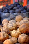1,532,582 Spice Stock Photos - Free & Royalty-Free Stock Photos from Dreamstime - Page 10