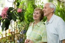 Picnic Seniors - in Love stock image. Image of leisure - 829037 Picnic Seniors - In Love stock image. Image of leisure - 829037