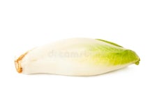 Texture of the leaf stock photo. Image of leaf, foliage - 20658540