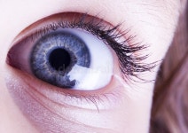 Eye stock image. Image of beauty, focus, clarity, eyebrows - 1981215