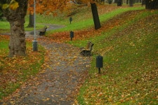 1,269 Brench Stock Photos - Free & Royalty-Free Stock Photos from Dreamstime - Page 2