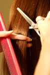 764,263 Salon Stock Photos - Free & Royalty-Free Stock Photos from Dreamstime - Page 8