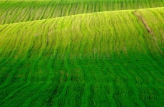 Green field stock photo. Image of danger, open, green - 5174002