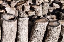 Svetlana Kashkina (Svetaphoto) - Photos