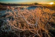 Orange Sunrise In Winter Frosty Forest Stock Image - Image of orange, season: 136512025