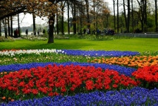 5,724,409 Beautiful Garden Stock Photos - Free & Royalty-Free Stock Photos from Dreamstime - Page 4