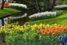 6,008,968 Flower Garden Stock Photos - Free & Royalty-Free Stock Photos from Dreamstime