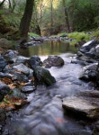 Creek stock image. Image of motion, green, fresh, flowing - 10405499