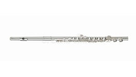Flute stock illustration. Illustration of silver, buttons - 25177881