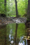 477,819 Creek Stock Photos - Free & Royalty-Free Stock Photos from Dreamstime - Page 6
