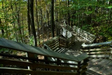 30,723 Forest Stairs Stock Photos - Free & Royalty-Free Stock Photos from Dreamstime