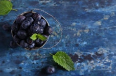 99,089 Berries Blueberries Stock Photos - Free & Royalty-Free Stock Photos from Dreamstime