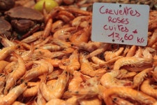 Fresh Prawns Fried in Garlic Olive Oil Seafood Tapas Snack Stock Image - Image of seafood, tapas: 80030601 Fresh Prawns Fried In... 