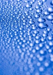 Fresh & Wet stock image. Image of isolated, abstract - 3956971