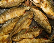 6,717 Roach Fish Stock Photos - Free & Royalty-Free Stock Photos from Dreamstime