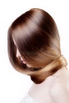 Hair stock photo. Image of brunette, stylish, style, human - 21491580
