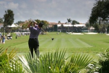 29,869 Golf Swing Stock Photos - Free & Royalty-Free Stock Photos from Dreamstime