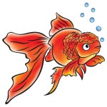 Goldfishes Stock Illustrations – 381 Goldfishes Stock Illustrations, Vectors & Clipart - Dreamstime