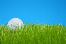 10,295,439 Grass Stock Photos - Free & Royalty-Free Stock Photos from Dreamstime - Page 33