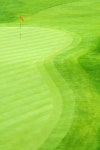 91,606 Golf Grass Stock Photos - Free & Royalty-Free Stock Photos from Dreamstime