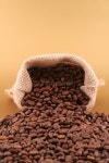 48,428 Canvas Bag Stock Photos - Free & Royalty-Free Stock Photos from Dreamstime