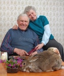 353,524 Rabbit Stock Photos - Free & Royalty-Free Stock Photos from Dreamstime - Page 32